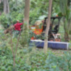 Zafarrancho contra efectos del temporal