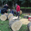 Parques y Jardines se refuerza