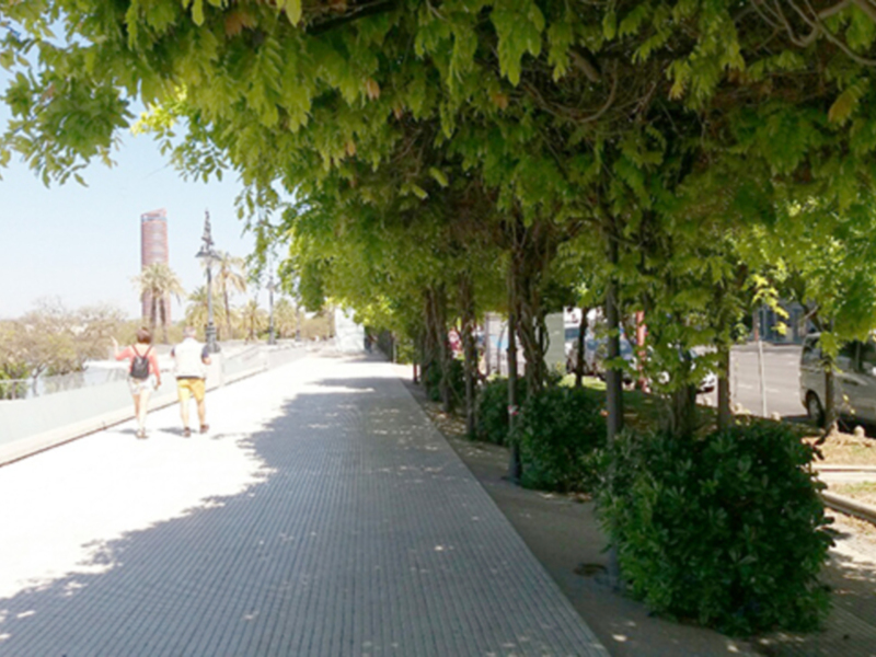 La sombra vegetal la mejor, las pergolas de Marques de Contadero un ejemplo a tener en cuenta