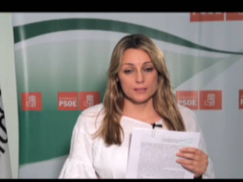 El PSOE entrega a la Junta 400 firmas por el mal estado de mantenimiento y conservación del colegio Lapachar