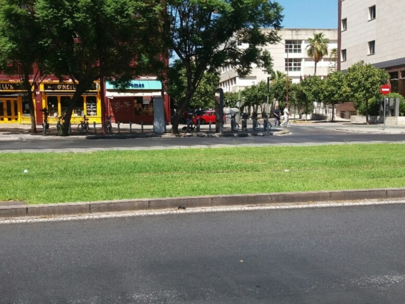 El mantenimiento y conservación de las zonas verdes en Sevilla, tiene un coste por habitante y año de 32,42 euros.