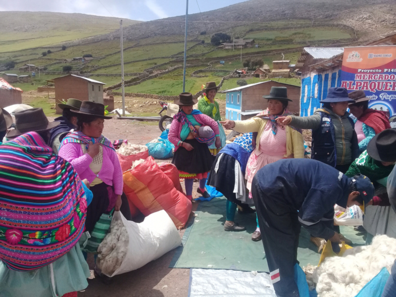 Madre Coraje y ‘la Caixa’ apoyan a más de 1.600 hombres y mujeres en Perú con su proyecto ‘Mercados alpaqueros’