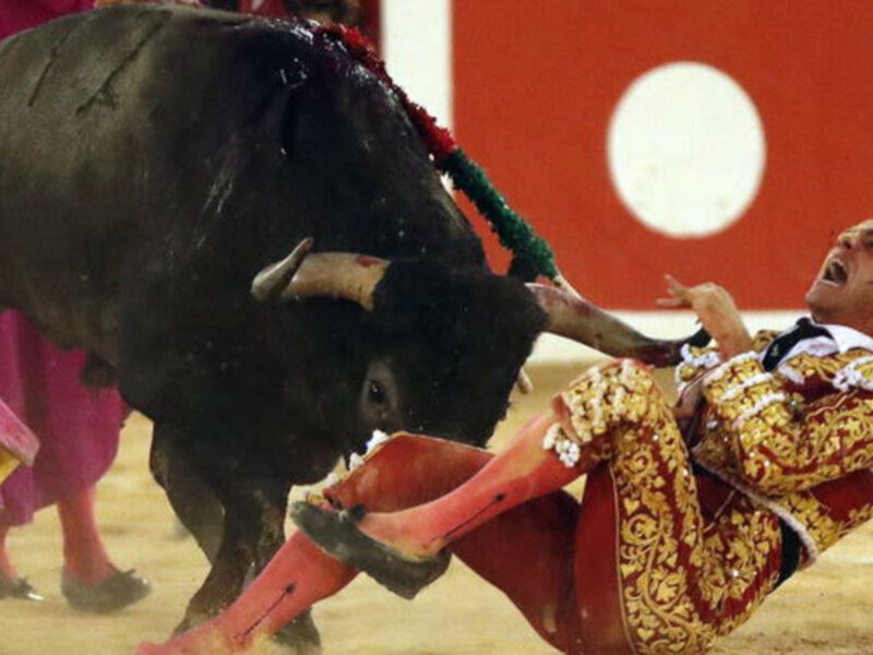 Pepe Moral, herido de consideración en Nimes