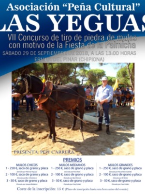 La Asociación Las Yeguas convoca a la afición ecuestre este sábado a su séptimo Concurso de tiro de piedra de mulos