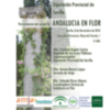 ANDALUCÍA EN FLOR a las 11.00 h en La Casa de la Provincia de Diputación Provincial de Sevilla.