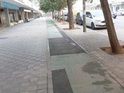 Paso de peatones con adoquines, árboles y edificios comerciales en el fondo.