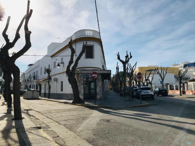 El plan anual de poda que ya está en marcha se extenderá a diversas zonas de la localidad y atenderá la necesidades vecinales