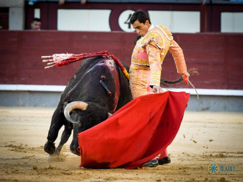 Oreja para Paco Ureña ante el manso quinto