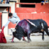 El matador de toros Manuel Escribano ha recibido este mediodía el alta hospitalaria en La Fraternidad de Madrid,
