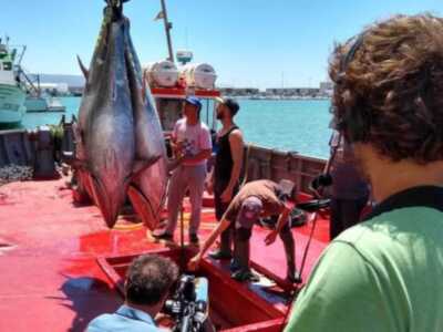 'Crónicas' comienza la temporada en las almadrabas de Cádiz
