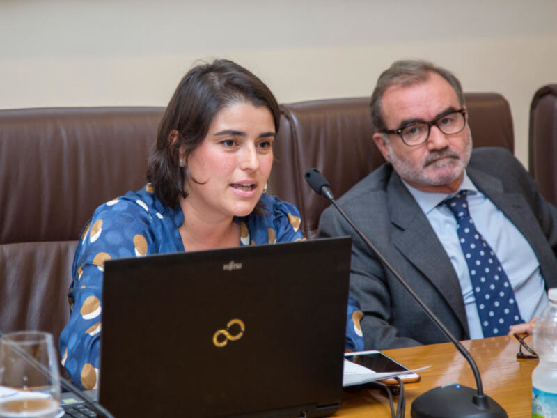 Cuestiones controvertidas de la caza en Andalucía