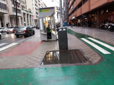 Cuatro años sin plantar