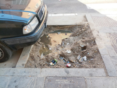 Algunos barrios de Sevilla presentan un problema de higiene que puede afectar a la salud de los ciudadanos.