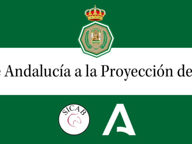Medalla de Andalucía 2020 para SICAB en sus 30 años de trayectoria