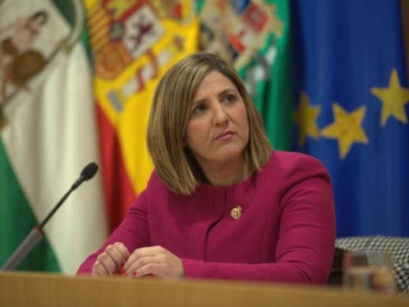 Diputación de Cádiz convoca al Consejo de Alcaldías este martes 21 para determinar con los ayuntamientos respuestas frente a la pandemia