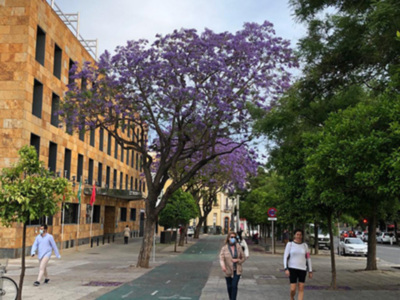 Sevilla 11 de mayo de 2020, primer día Fase 1.