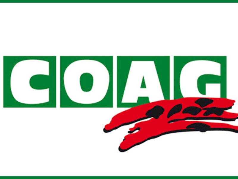 Coag agradece las nuevas ayudas para la flor cortada, pero afirma que lo  que se necesita son soluciones fiscales urgentes