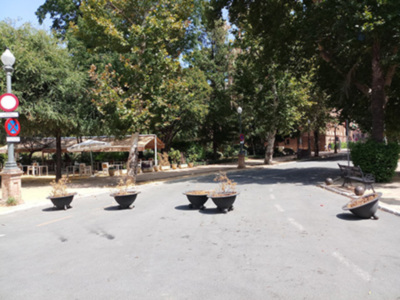 Los maceteros del Parque de María Luisa, necesitan mantenimiento.