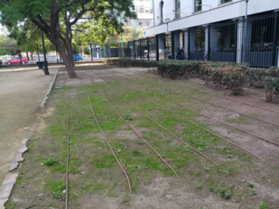 Los Jardines de la Buhaira de Sevilla en estado de abandono.
