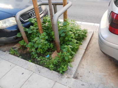 El teletrabajo no funciona para los jardineros, personal de limpieza,…………………