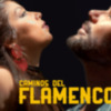 La 2 estrena ‘Caminos del flamenco’, con Miguel Poveda y Soleá Morente