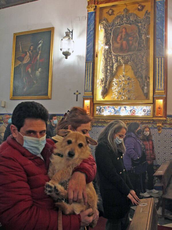 Bendición de mascota por San Antonio Abad en la capilla de la Pastora de Sta. Marina de Sevilla