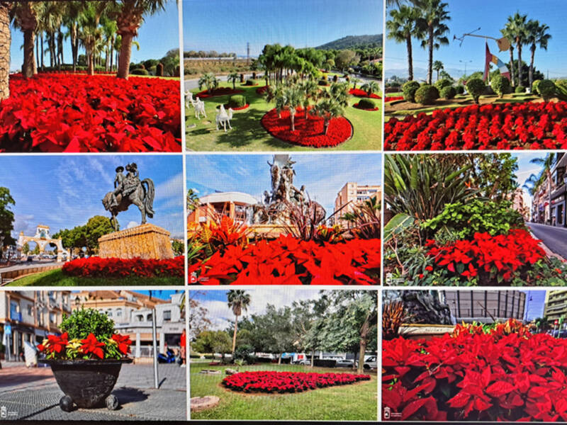 Andalucíía se engalana en Navidad
