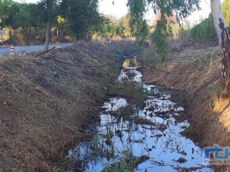 Río contaminado con basura en el centro de la imagen, rodeado de vegetación y un camino a la izquierda.