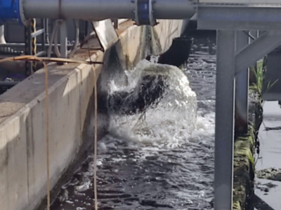 El ciclo integral del agua de la depuradora, será un beneficio para todo el campo de Chipiona