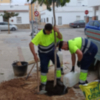   La Delegación de Parques y Jardines inicia la replantación de marras arbóreas en la localidad con una inversión de 65.250 euros