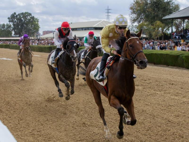 El Real Club Pineda de Sevilla se prepara para sus tradicionales Carreras de Caballos