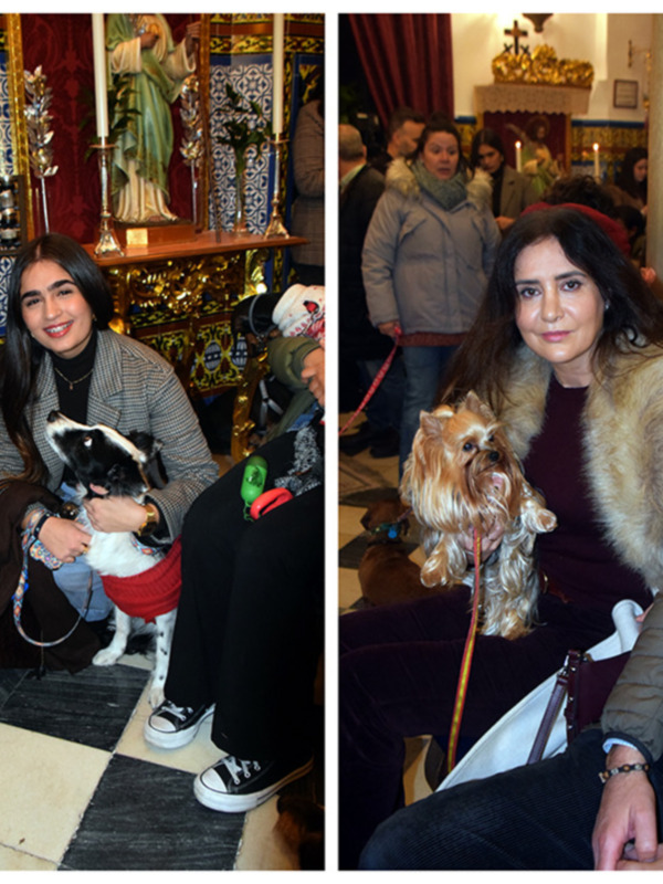  San Antón: El Santo de los Animales y su Festividad en Sevilla