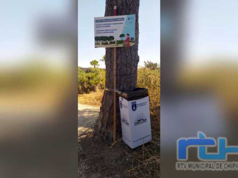 Medio Ambiente agradece la colaboración ciudadana en la Romería del Pinar