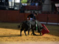 Un torero con un chaleco negro y una camisa blanca se enfrenta a un toro negro en el centro de la plaza. El toro tiene una chalupa roja y verde colgada en su cola, y el torero sostiene una chalupa roja. La arena es de tierra amarilla y hay espectadores en la gradería al fondo.
