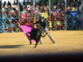 Un vaquero en un rodeo, montando un toro negro con una capa rosa. El fondo muestra un público en el stands y un fondo de carros de ruedas multicolores.