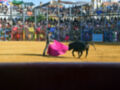 Una imagen de una corrida de toros con un torero en el centro, lidiando a un toro negro. El fondo muestra una multitud de espectadores en gradas y un escenario con decoración de colores.