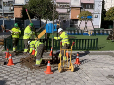 San Pablo–Santa Justa refuerza su arbolado urbano dentro del plan municipal de plantaciones 2025–2026 en Sevilla 