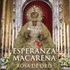Oda al Domingo de Ramos por José Manuel Melendez Camacho 