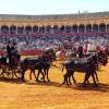 “La 40ª Exhibición de Enganches rinde homenaje a Ronda y a la tradición ecuestre en Sevilla”