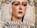 Descuento del 20 por cientos en todos los libros de la editorial Sevilla Press , con motivo del Dia mundial del libro .