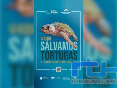 ‘Aquí salvamos tortugas’, cuando la educación ambiental llega a la playa de Chipiona